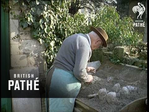 Out Takes / Cuts From Cp 322 - Multi-Deck Garage And Teddy Bear Man (1960-1961)