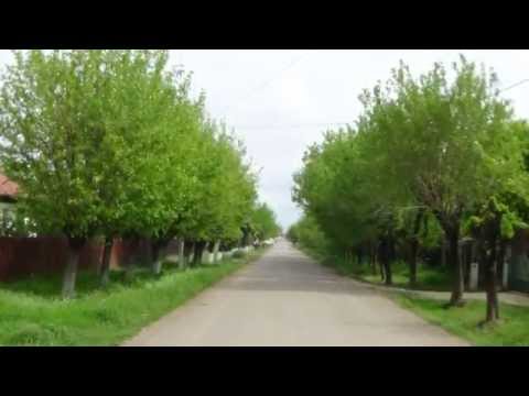 Comuna Nana - Prezentare