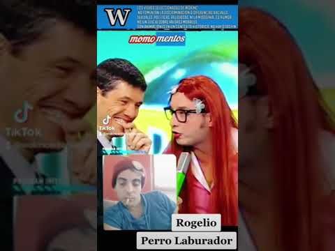 Perro laburador - Rogelio (VideoMatch)