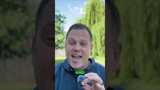 XRP Japan, BRICS, DTCC