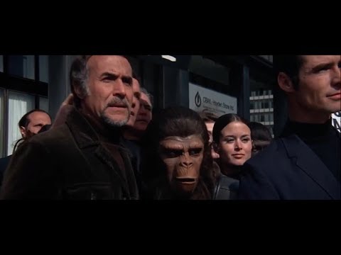 Conquest of the Planet of the Apes (1972) "Lousy human bastards!"