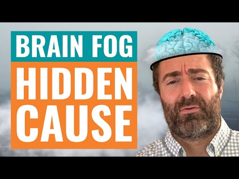 The Hidden Reason You Have Brain Fog