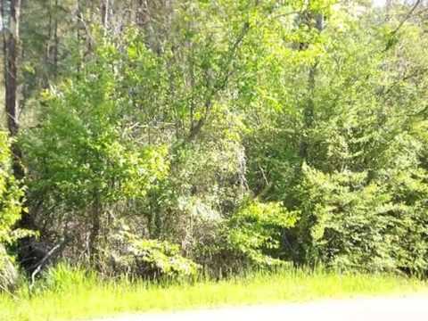Homes for Sale - 000 E Cherry Gurdon AR 71743 - Sandra Deaton