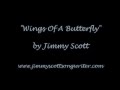 Beautiful song about losing a loved one - "Wings Of ...