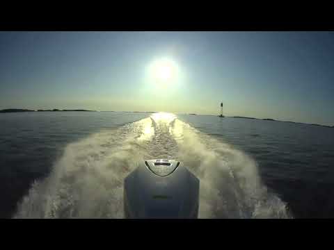 Silver Eagle BRX 2023