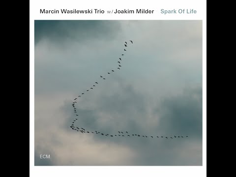 Marcin Wasilewski Trio - Spark Of Life (Alternative Version)