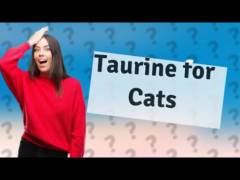 What is the best source of taurine for cats?