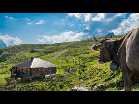 The fascinating life of alpine farmers in Switzerland