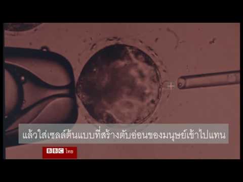 Aphrodisiacs ด้วยมือของพวกเขา สตรีสารกระตุ้น