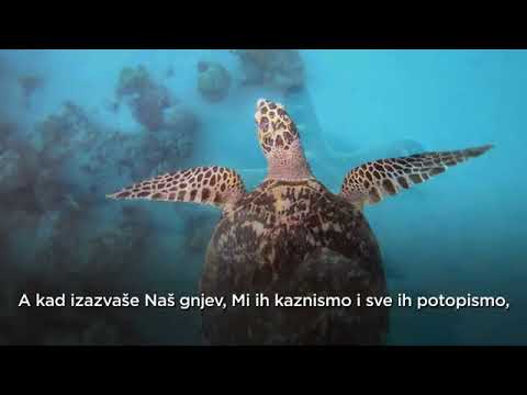 Sura043 Ez Zuhruf - Ukras