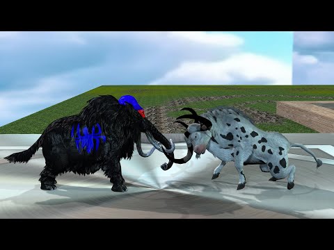 evil buffalo vs black spider mammoths animal revolt battle simulator cartoon videos