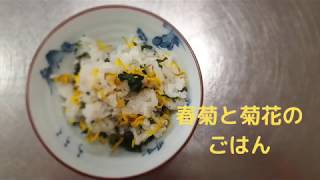 宝塚受験生の風邪予防レシピ〜春菊と菊花のご飯〜のサムネイル