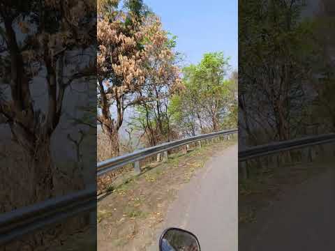 tumhi dekho naa offical 4k video - kank|shahrukh khan, rani mukherjee|sonu nigam, alka yagnik| 4k 🎶✨