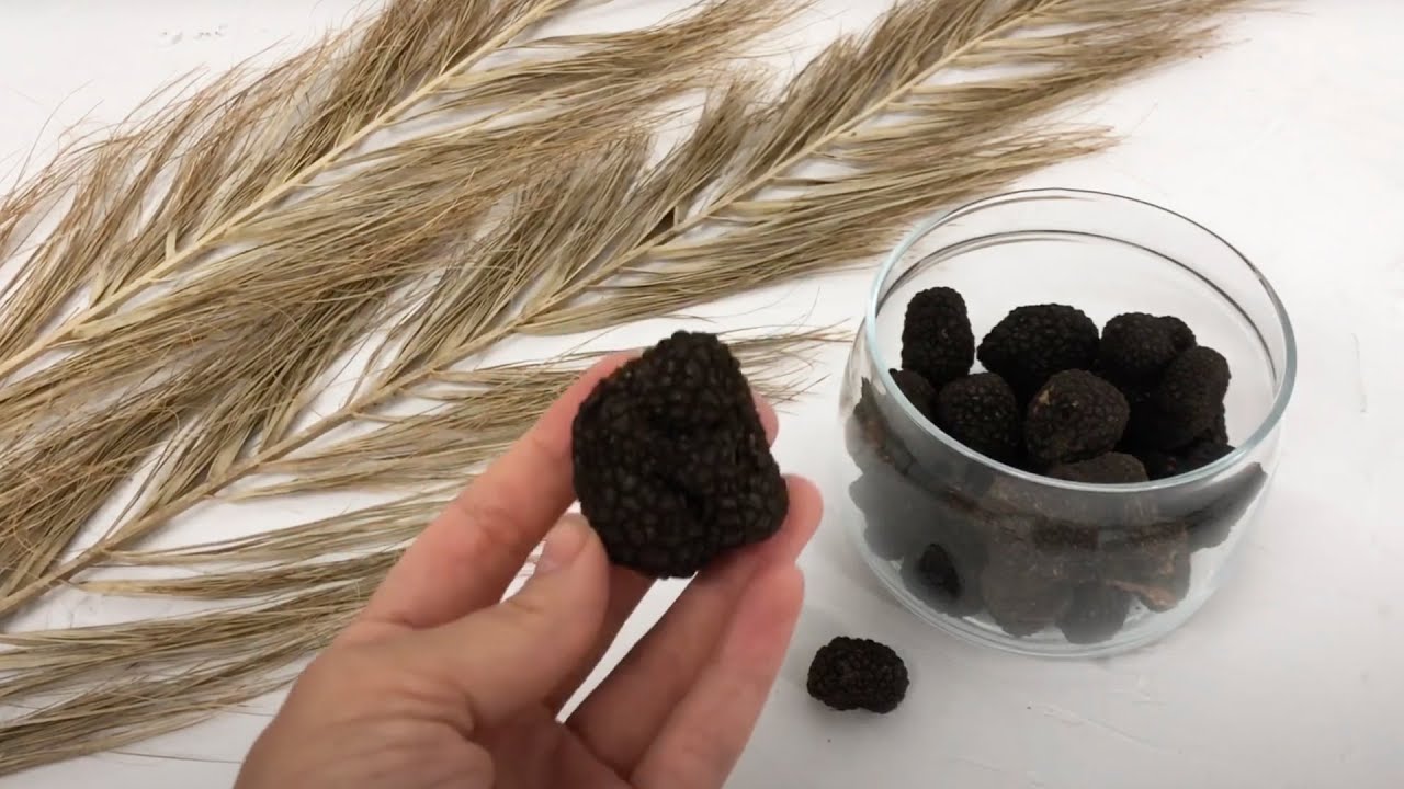 Грибы Трюфель черные - купить за 35000.00 грн, доставка по Киеву и ...