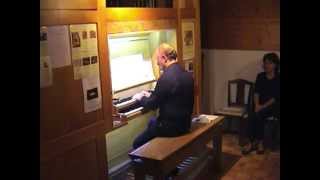 preview picture of video 'W.A.Mozart: Sonata da chiesa KV 146, Adagio  KV 456; Roberto Padoin - organo'