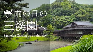 雨の日の三溪園へ