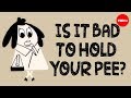 Is It Bad To Hold Your Pee Heba Shaheed