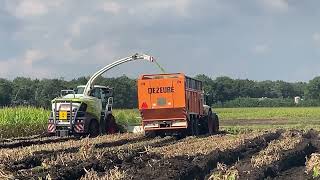 Loonbedrijf Geudens | Mais hakselen | New CLAAS Jaguar 970 | Natte omstandigheden