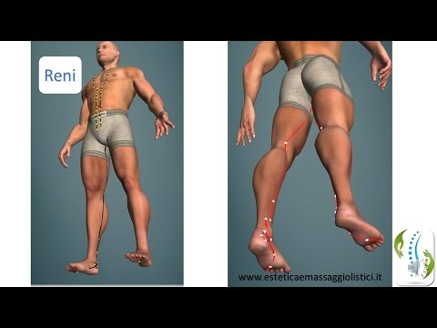 Rimozione del gomito borsite il video Dolore sul lato destro della parte bassa della schiena durante la gravidanza