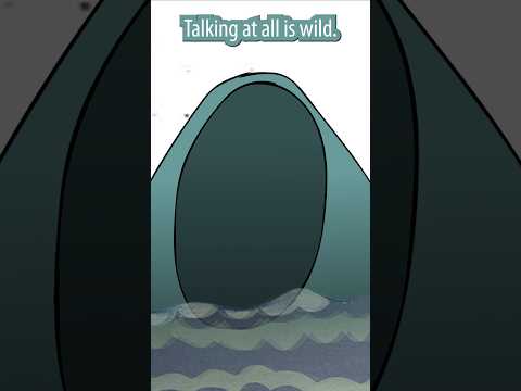 Watching Sea Eater talk is wild, says Bloop