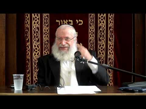 Indirectly Causing Someone to Sin | Weekly Shiur By Rav Asher Weiss Shlit"a