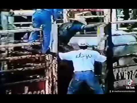 Touro Ouro Fino da Cia de Rodeio Gaivota