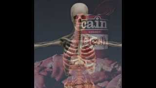 Regina Spektor - &quot;Pound of Flesh&quot;