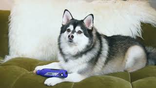 Dremel 7350 použití