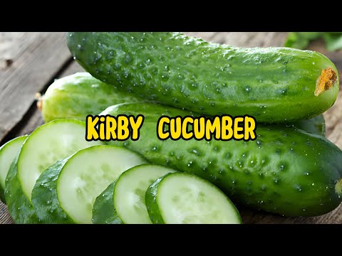 The Versatile Kirby Cucumber: Culinary Uses and Health Benefits Explored