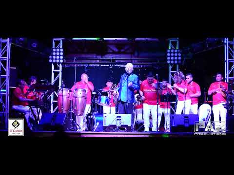 Periquito Pin Pin - Cano Estremera (The Palace - Virginia)