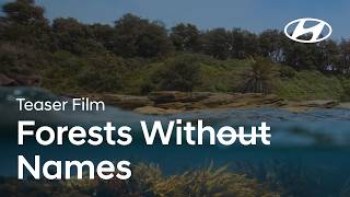 Hyundai: Forests Without Names