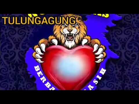 solidaritas tanpa batas