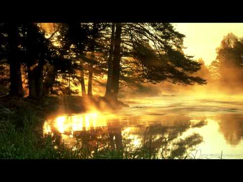 Invisible Sounds & Faruk Sabanci Ft. Debbie Digital - In The Summer (Shiftone Remix) [HD 1080p]