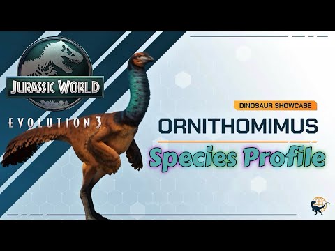 HobbyVelociraptor TV and RaptorGames