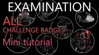 Examination ALL challenge badges mini tutorial