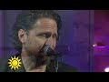 Moneybrother – Stannar om du ber mig (live) - Nyhetsmorgon (TV4)