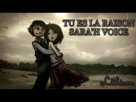 YOU ARE THE REASON - CALUM SCOTT ( FRENCH VERSION - SARA'H VOICE ) || ( Lyrics )