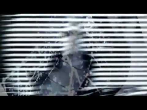 PROVENZAN THE FABULOUS - Mariguana Cha-Cha-Cha (Official Video) PT