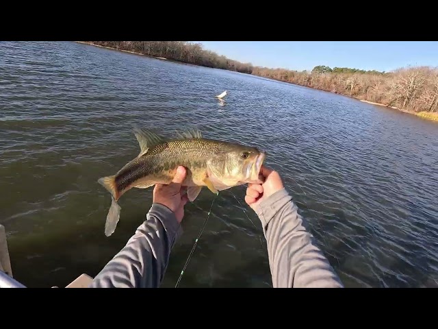 Judge.me YouTube video placeholder