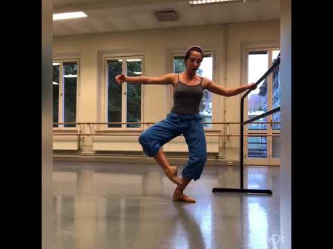House Friendly Ballet Barre Exercise 8 - Battement Fondu