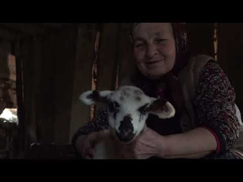 Naša priča ep. 193 03.05.2019. - Stočarstvo, Kosmovac i Šljivovik kod Bele Palanke