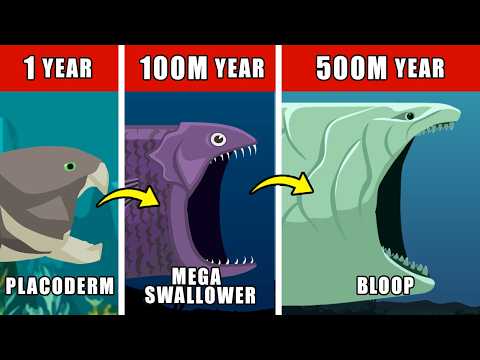 Bloop Origin Evolution: How the Bloop Could Have Evolved
