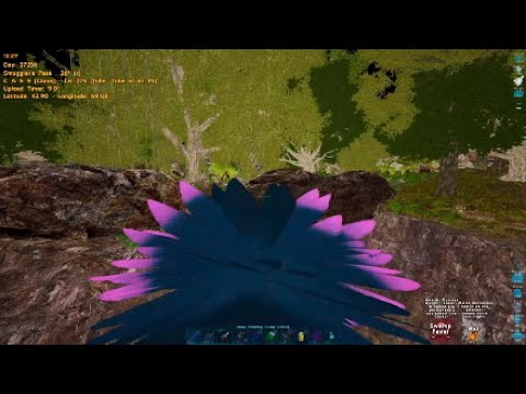 ARK PS5 PVP | SUIT X GRIFF X WYV