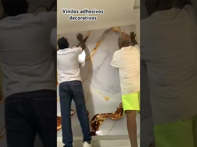 Vídeo relacionado con RTRTGS 12 Decorativo para Pared, Pegatinas de Tortuga Marina, Pegatinas de Pared Vinilos decoración en casa, Oficina, Sala de Estar, baño, Aseo