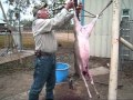 How to Skin a Deer Fast 