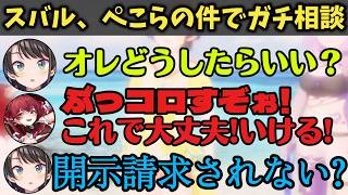 【ホロライブ】マリンにぺこらのガチ相談をする大空スバル【大空スバル/宝鐘マリン/兎田ぺこら/ホロライブ切り抜き】