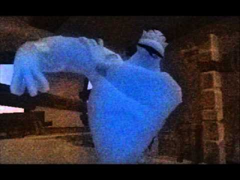 Kingdom Hearts II, Japanese cutscene: 04 - A Dream of Meetings