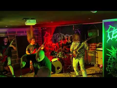 Fetal Decay - Born To Suck (Live in Saratov 21.05.2025)