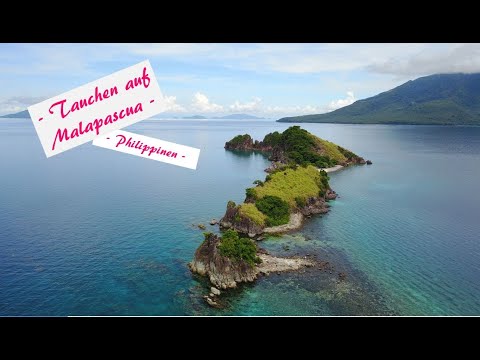 Tauchen mit Fuchshaien auf Malapascua - Philippinen!
