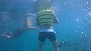 Милые друзья из России купались на пляже Нячанг и острове Хон Мун.